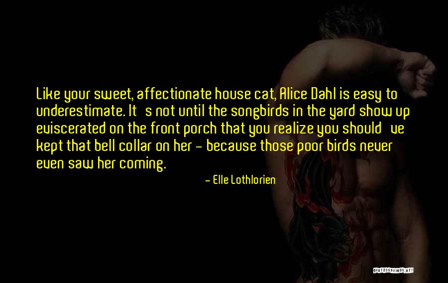 Cat Things For The House Quotes By Elle Lothlorien Cat Things For The House Quotes By Elle Lothlorien