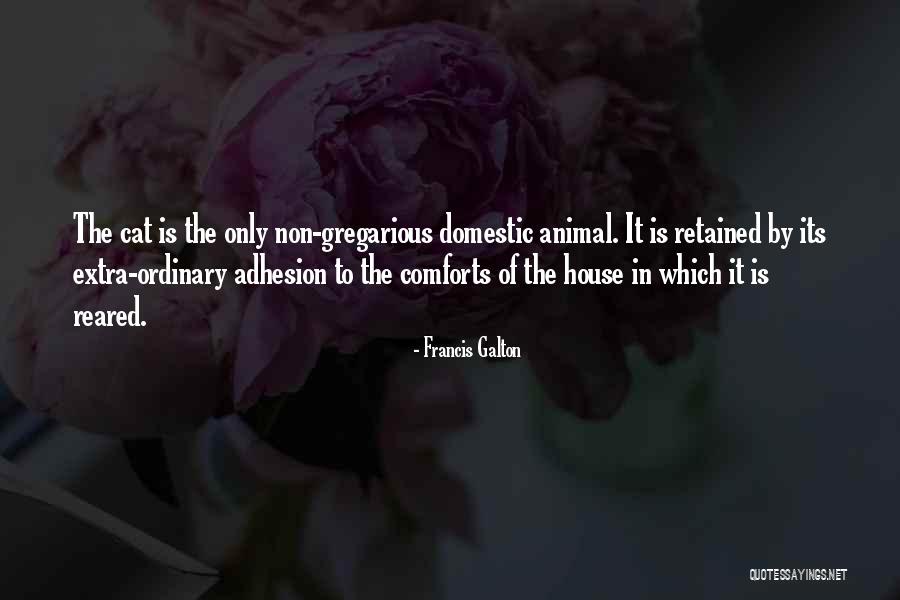 Cat Things For The House Quotes By Francis Galton Cat Things For The House Quotes By Francis Galton