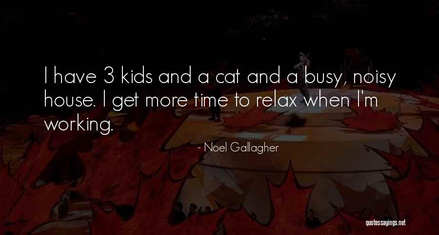 Cat Things For The House Quotes By Noel Gallagher Cat Things For The House Quotes By Noel Gallagher