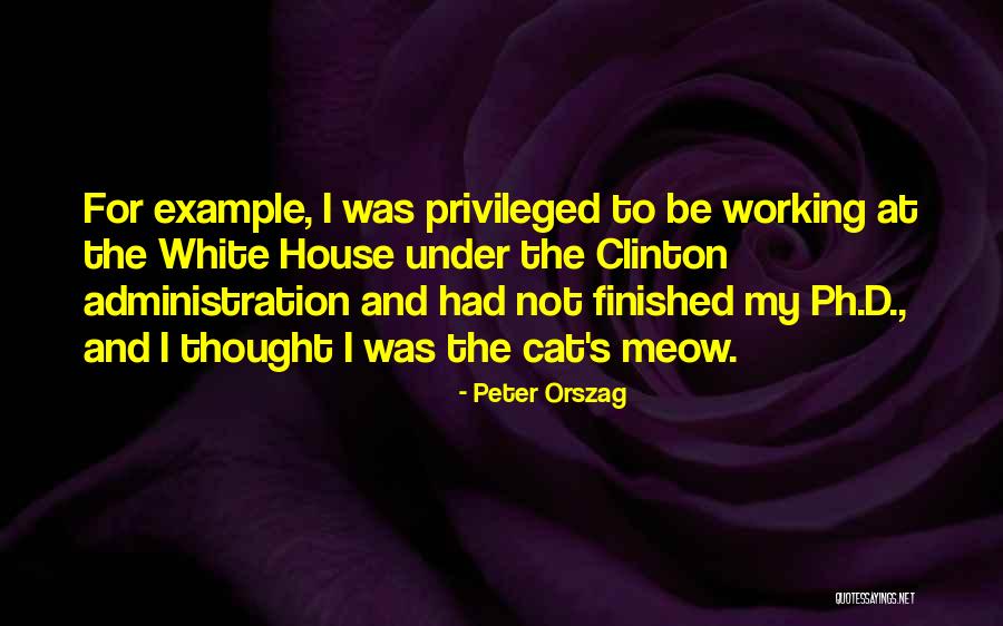 Cat Things For The House Quotes By Peter Orszag Cat Things For The House Quotes By Peter Orszag