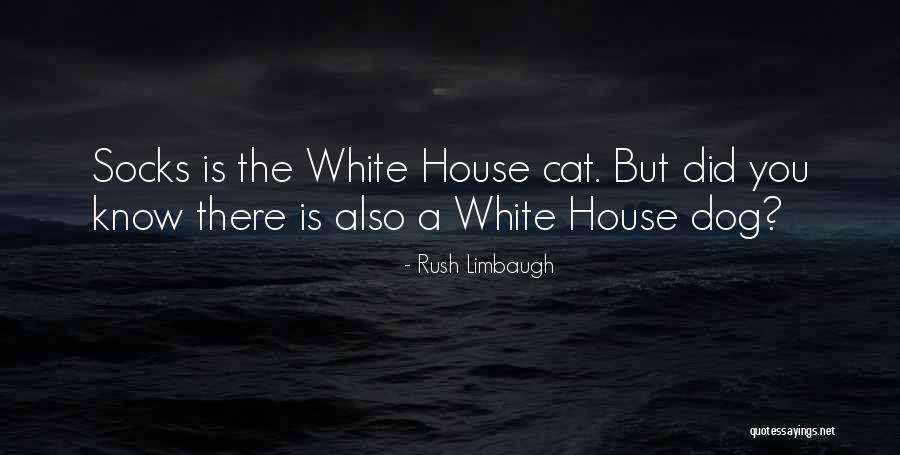 Cat Things For The House Quotes By Rush Limbaugh Cat Things For The House Quotes By Rush Limbaugh