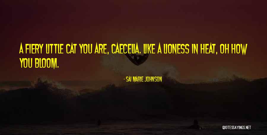 Cat Things For The House Quotes By Sai Marie Johnson Cat Things For The House Quotes By Sai Marie Johnson