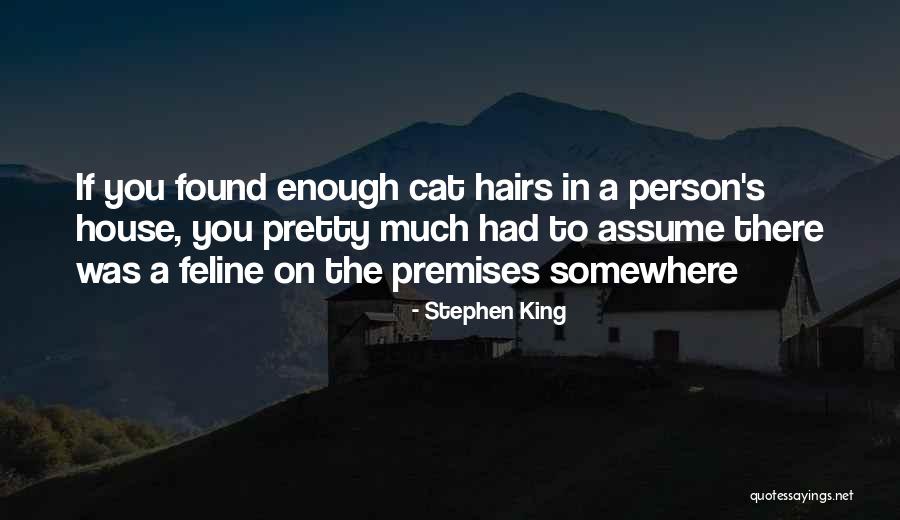 Cat Things For The House Quotes By Stephen King Cat Things For The House Quotes By Stephen King