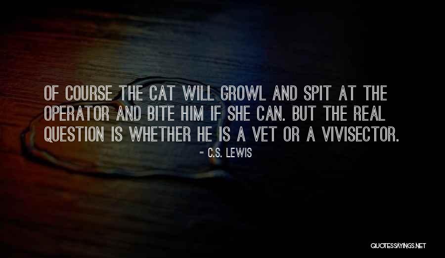 Cat Vet Quotes By C.S. Lewis Cat Vet Quotes By C.S. Lewis