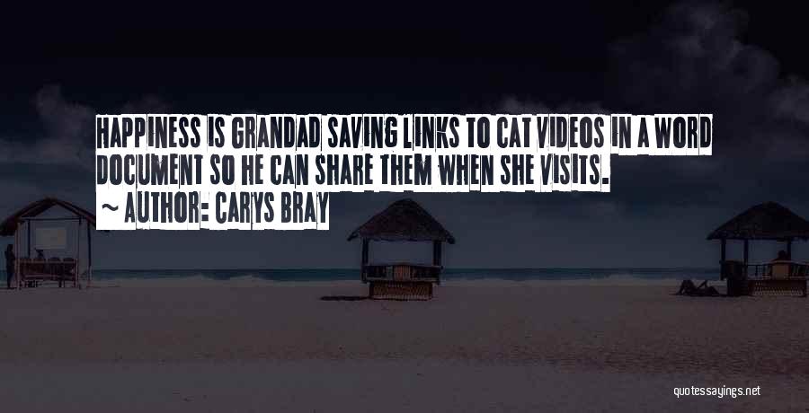 Cat Videos Quotes By Carys Bray