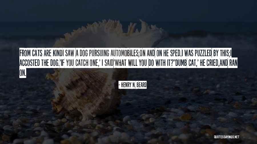 Cat Vs Dog Quotes By Henry N. Beard Cat Vs Dog Quotes By Henry N. Beard