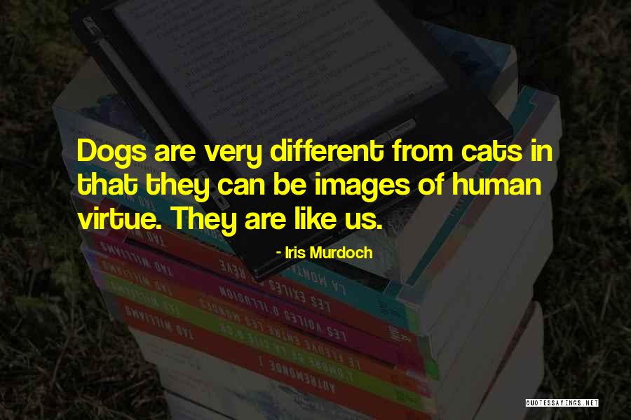 Cat Vs Dog Quotes By Iris Murdoch Cat Vs Dog Quotes By Iris Murdoch