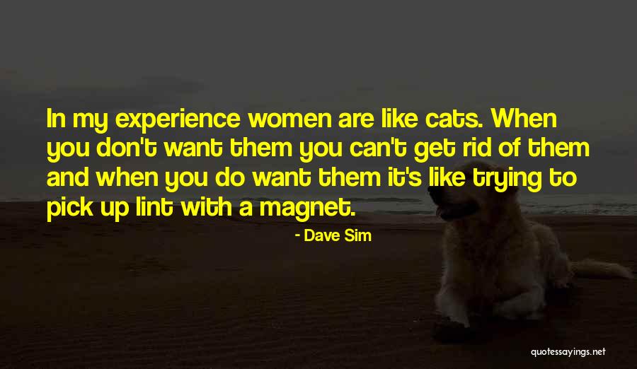 Cat Women Quotes By Dave Sim Cat Women Quotes By Dave Sim