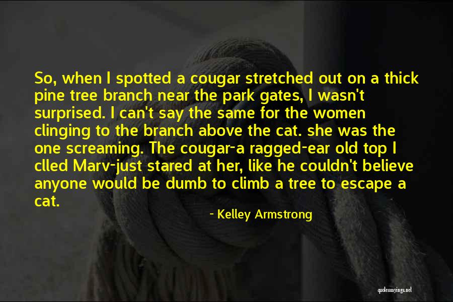 Cat Women Quotes By Kelley Armstrong Cat Women Quotes By Kelley Armstrong