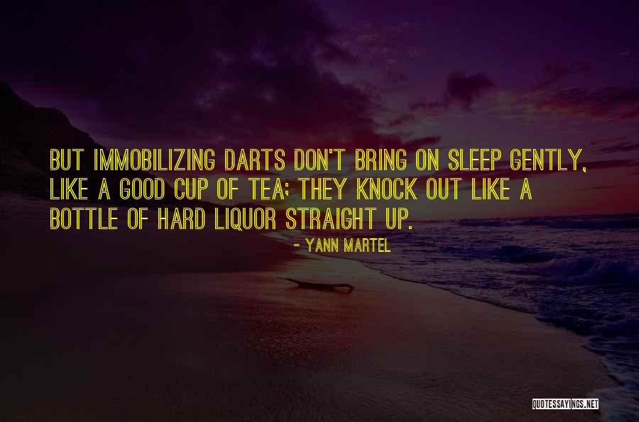 Cataclismo Sinonimo Quotes By Yann Martel Cataclismo Sinonimo Quotes By Yann Martel