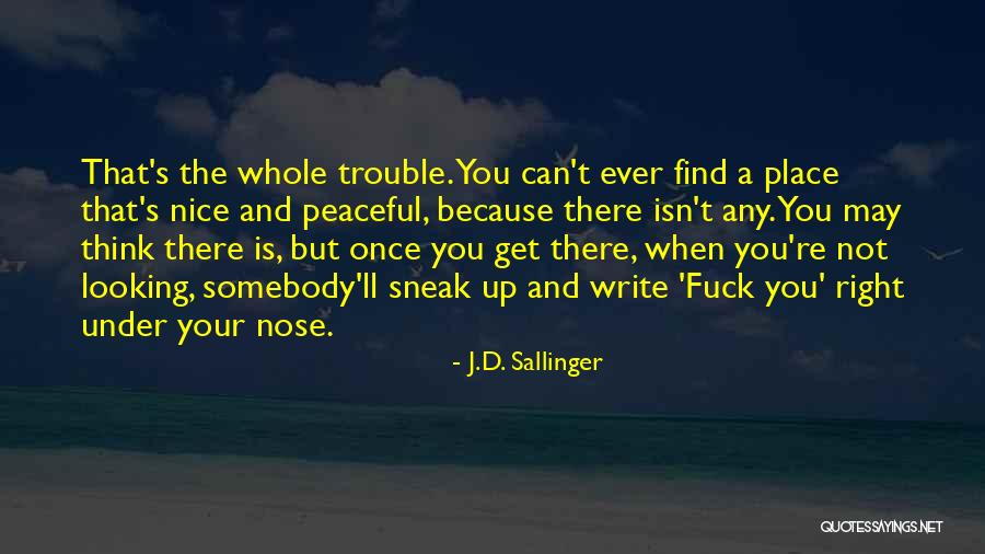 Catalans Quotes By J.D. Sallinger Catalans Quotes By J.D. Sallinger