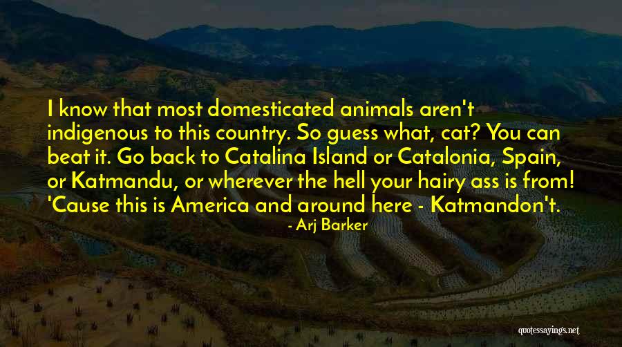 Catalina Quotes By Arj Barker Catalina Quotes By Arj Barker