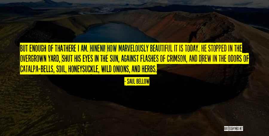 Catalpa Quotes By Saul Bellow Catalpa Quotes By Saul Bellow