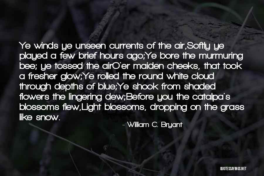 Catalpa Quotes By William C. Bryant Catalpa Quotes By William C. Bryant