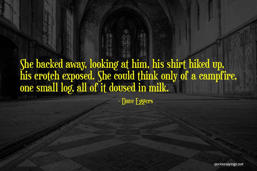Catalysts Chemistry Quotes By Dave Eggers