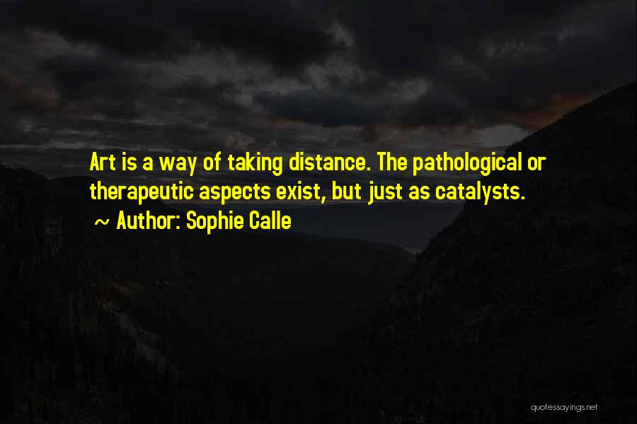Catalysts Quotes By Sophie Calle