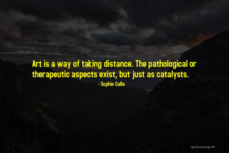 Catalysts Quotes By Sophie Calle