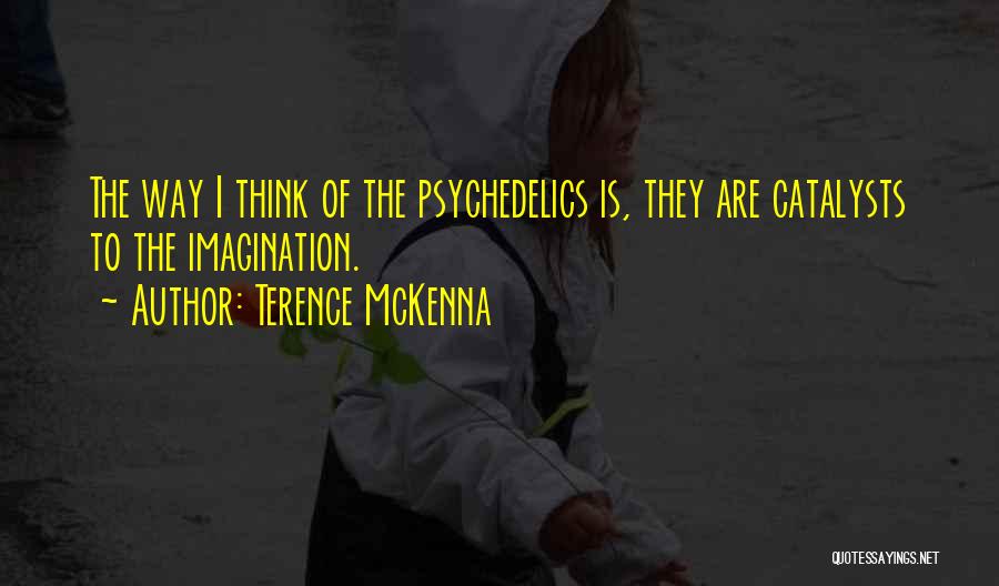 Catalysts Quotes By Terence McKenna