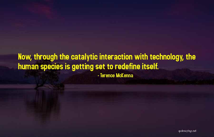Catalytic Quotes By Terence McKenna Catalytic Quotes By Terence McKenna