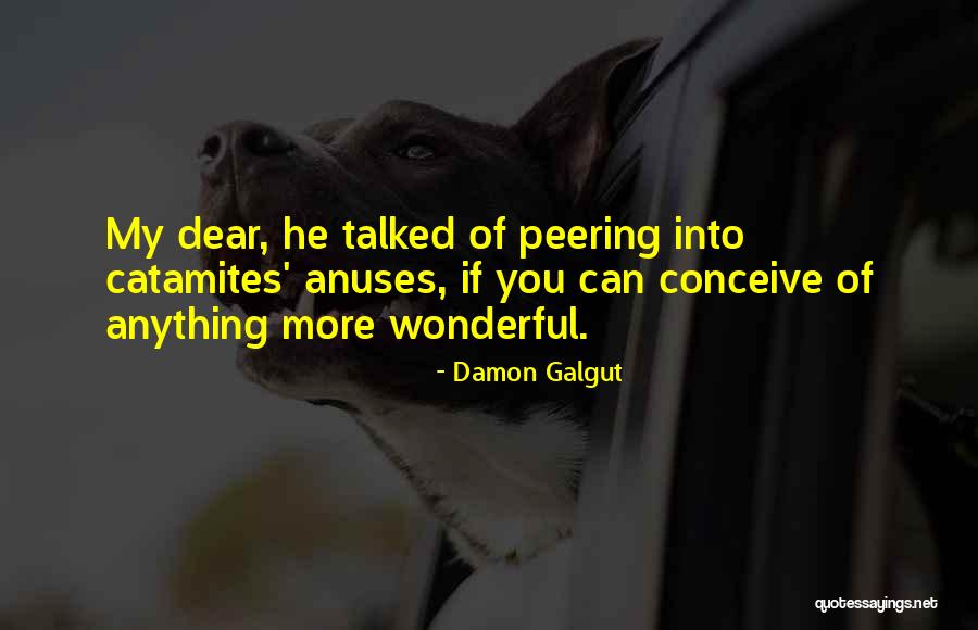 Catamites Quotes By Damon Galgut Catamites Quotes By Damon Galgut
