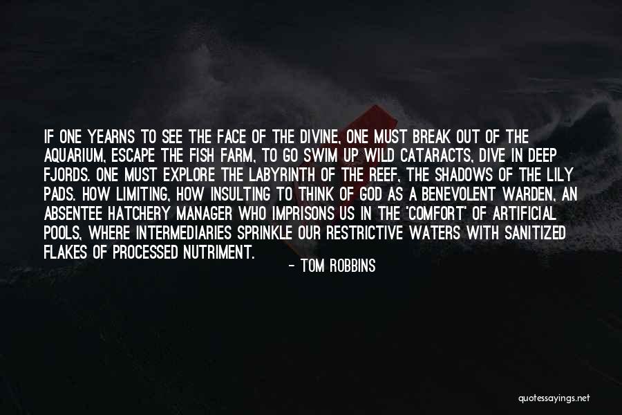 Cataracts Quotes By Tom Robbins