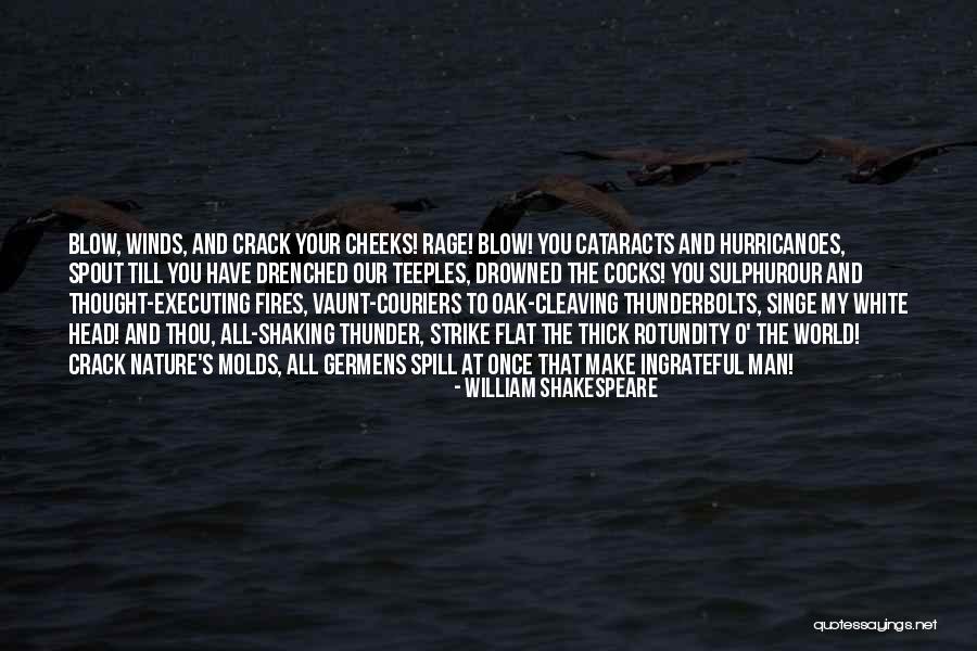 Cataracts Quotes By William Shakespeare Cataracts Quotes By William Shakespeare