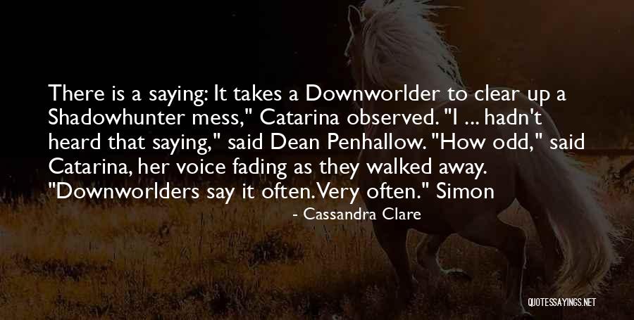 Catarina Quotes By Cassandra Clare Catarina Quotes By Cassandra Clare
