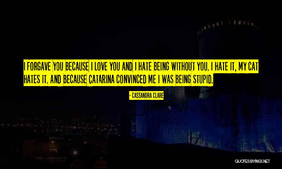 Catarina Quotes By Cassandra Clare Catarina Quotes By Cassandra Clare