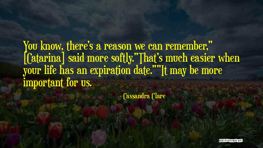 Catarina Quotes By Cassandra Clare Catarina Quotes By Cassandra Clare