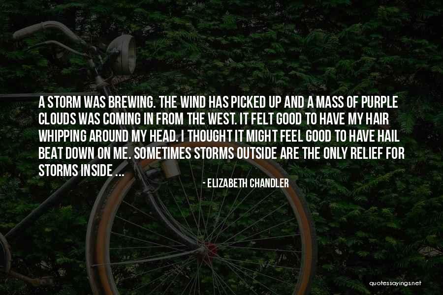 Catarsis Sinonimo Quotes By Elizabeth Chandler Catarsis Sinonimo Quotes By Elizabeth Chandler