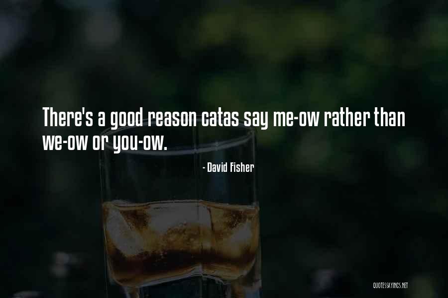Catas Quotes By David Fisher