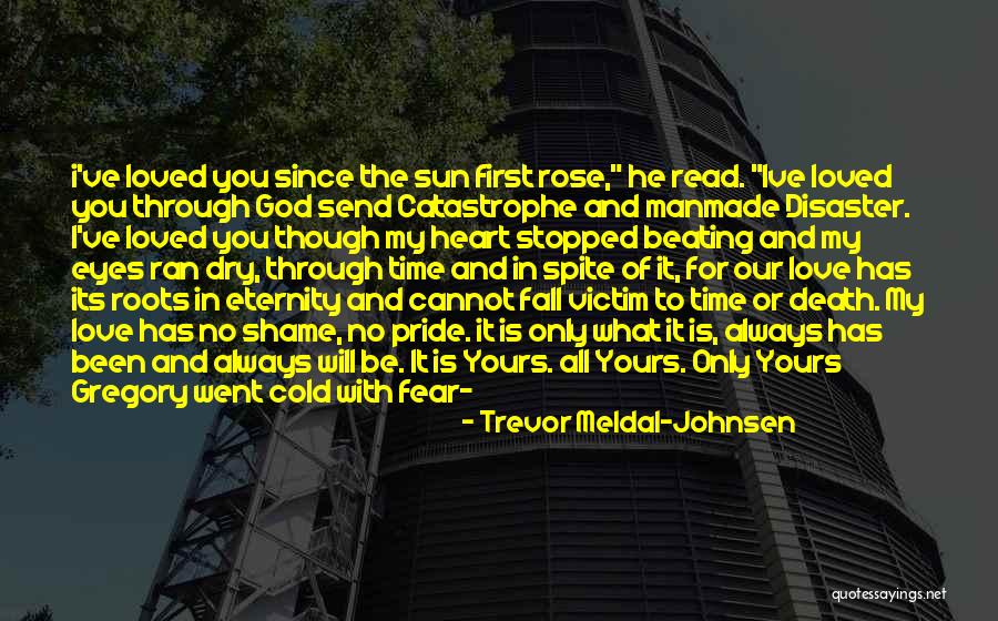 Catastrophe Love Quotes By Trevor Meldal-Johnsen