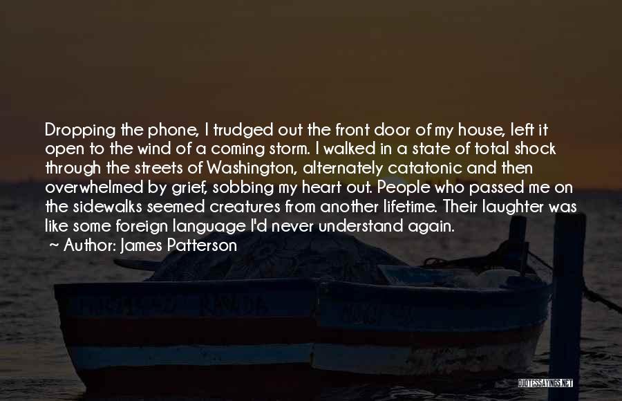 Catatonic Quotes By James Patterson