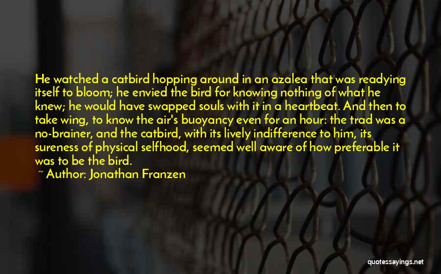 Catbird Quotes By Jonathan Franzen