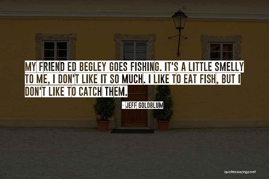 Catch A Fish Quotes By Jeff Goldblum