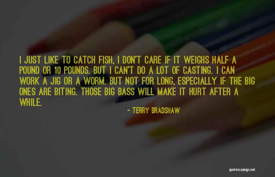 Catch A Fish Quotes By Terry Bradshaw