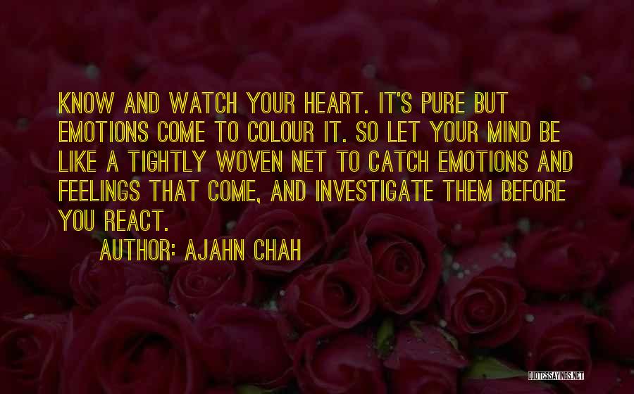 Catch Feelings Quotes By Ajahn Chah