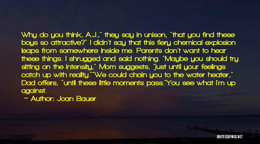 Catch Feelings Quotes By Joan Bauer