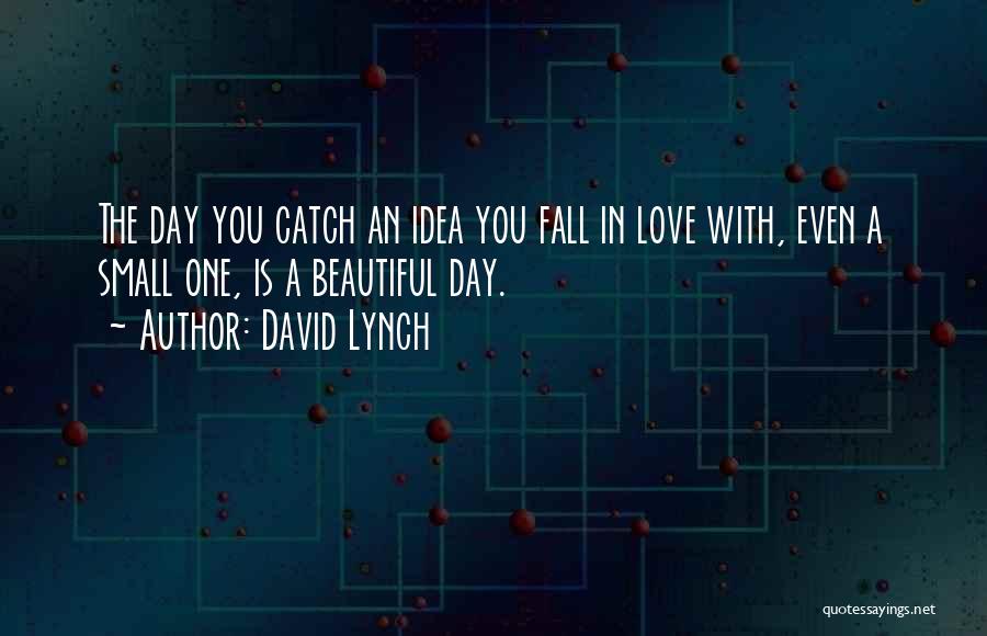 Catch Me If I Fall Quotes By David Lynch