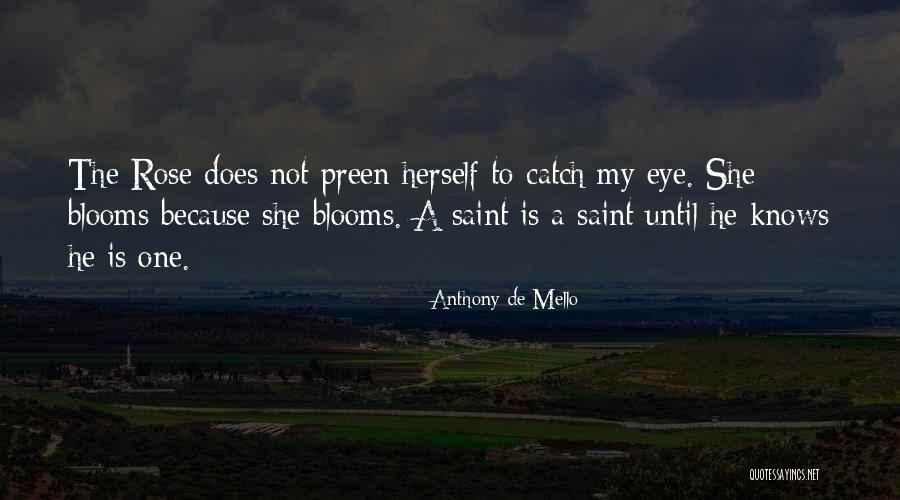 Catch My Eye Quotes By Anthony De Mello Catch My Eye Quotes By Anthony De Mello