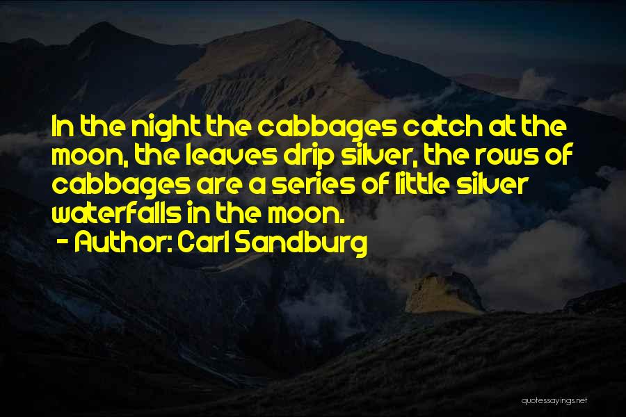 Catch The Moon Quotes By Carl Sandburg