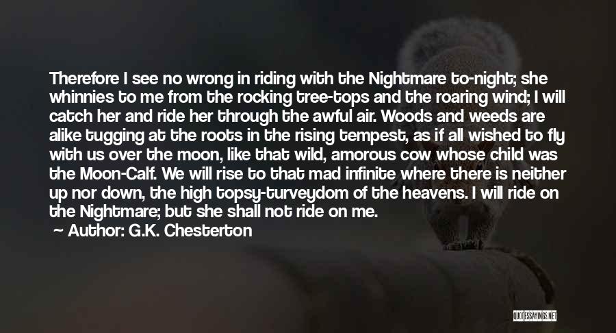 Catch The Moon Quotes By G.K. Chesterton