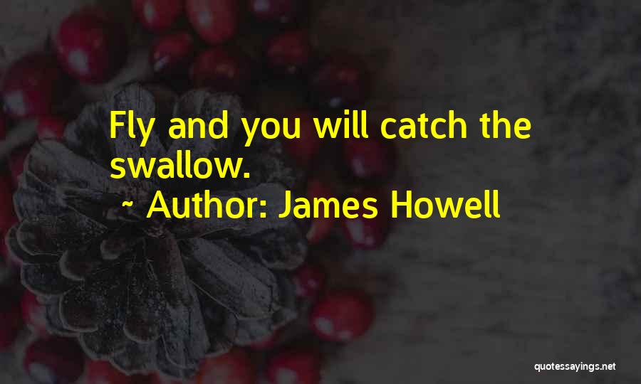 Catch Up Soon Quotes By James Howell