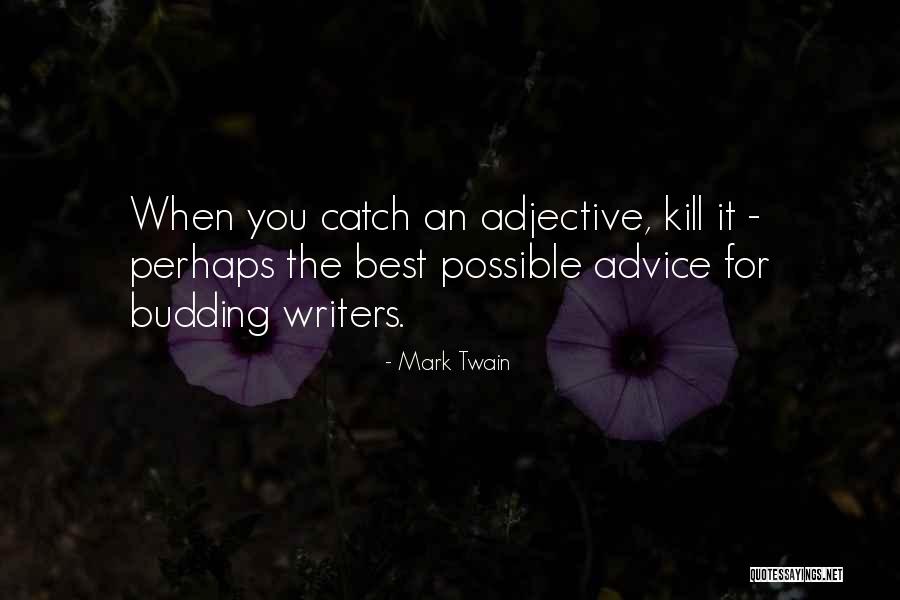 Catch You Quotes By Mark Twain Catch You Quotes By Mark Twain