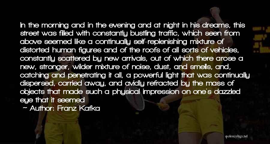 Catching Dreams Quotes By Franz Kafka
