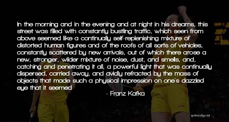 Catching My Dreams Quotes By Franz Kafka Catching My Dreams Quotes By Franz Kafka