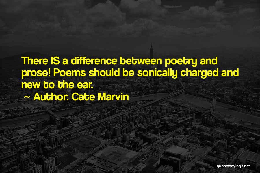 Cate Marvin Quotes 1406571