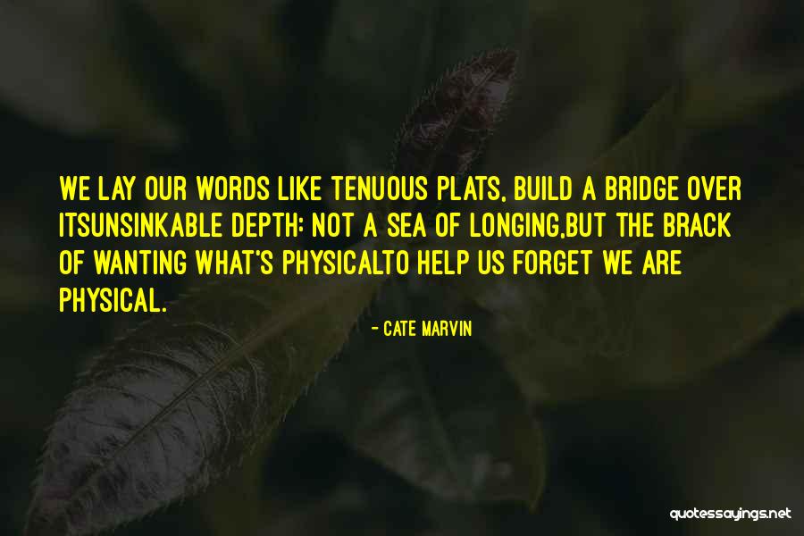 Cate Marvin Quotes 94879