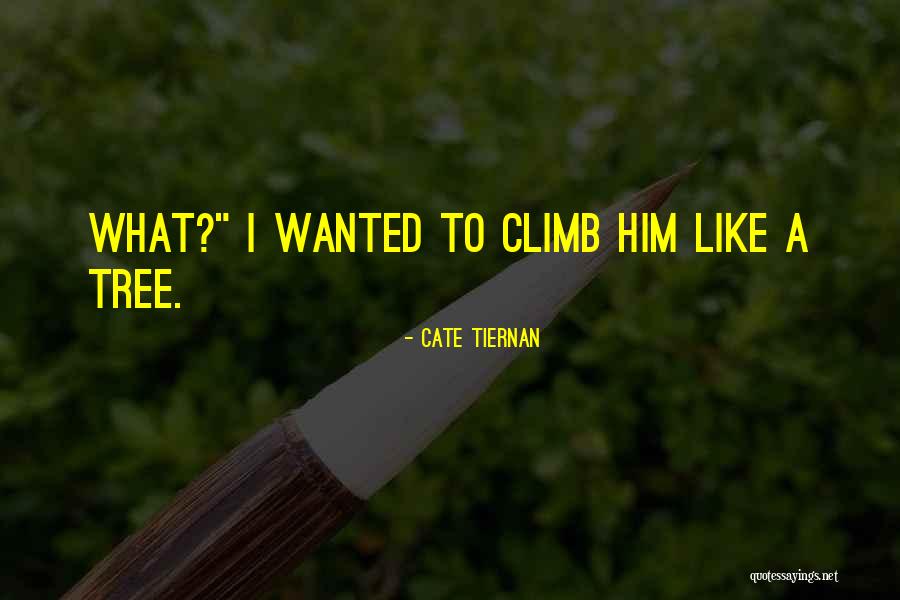 Cate Tiernan Quotes 1383329