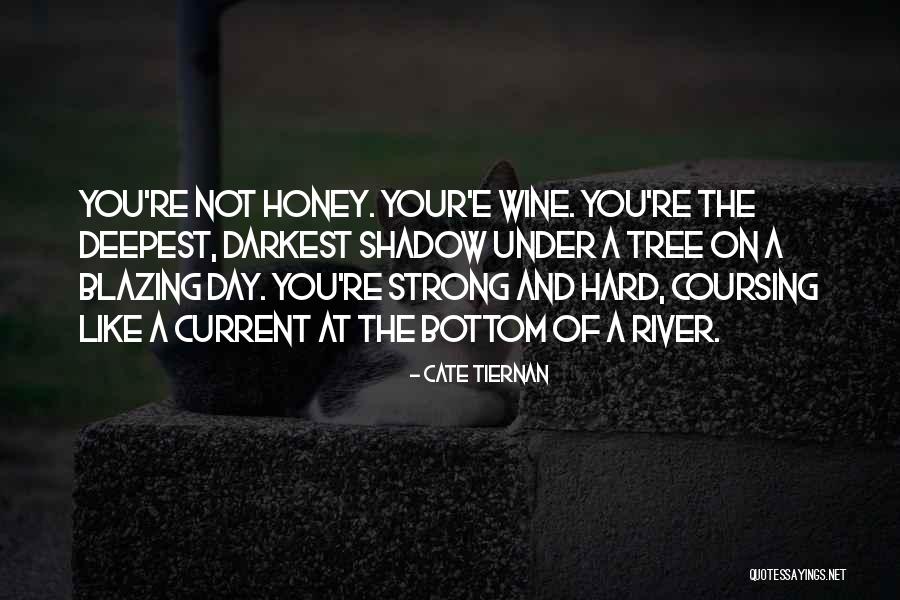 Cate Tiernan Quotes 1644226 Cate Tiernan Quotes 1644226